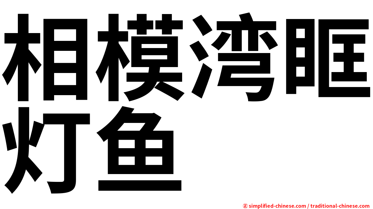 相模湾眶灯鱼