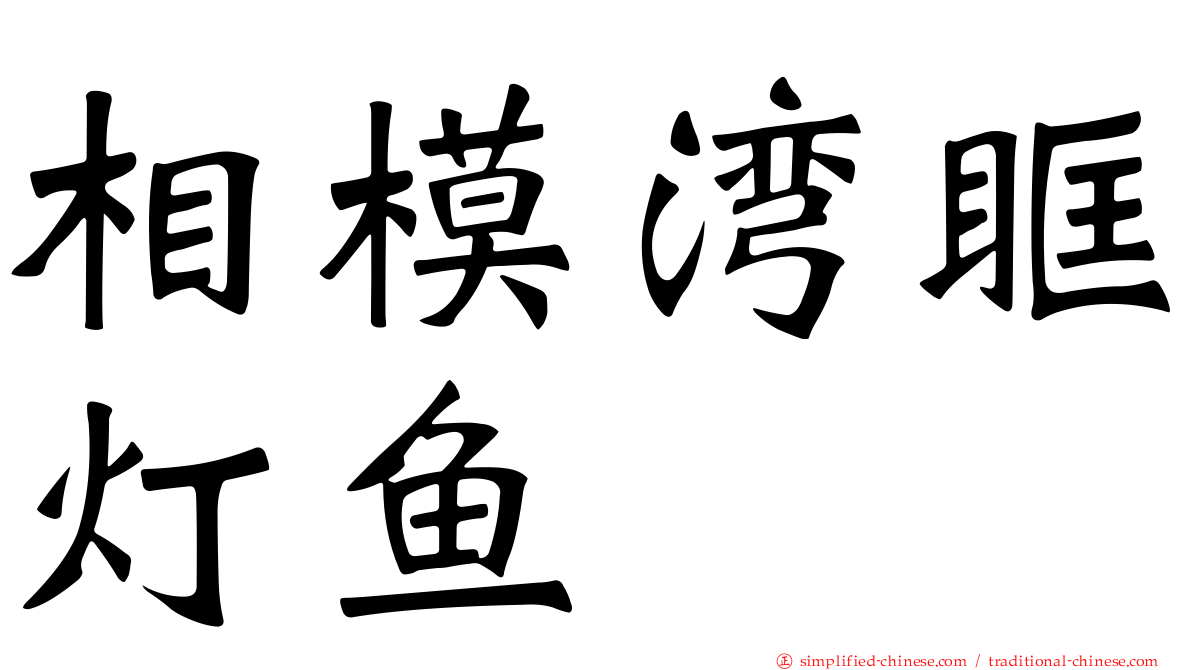 相模湾眶灯鱼