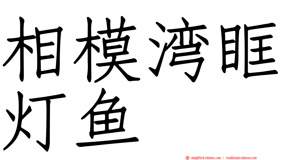 相模湾眶灯鱼