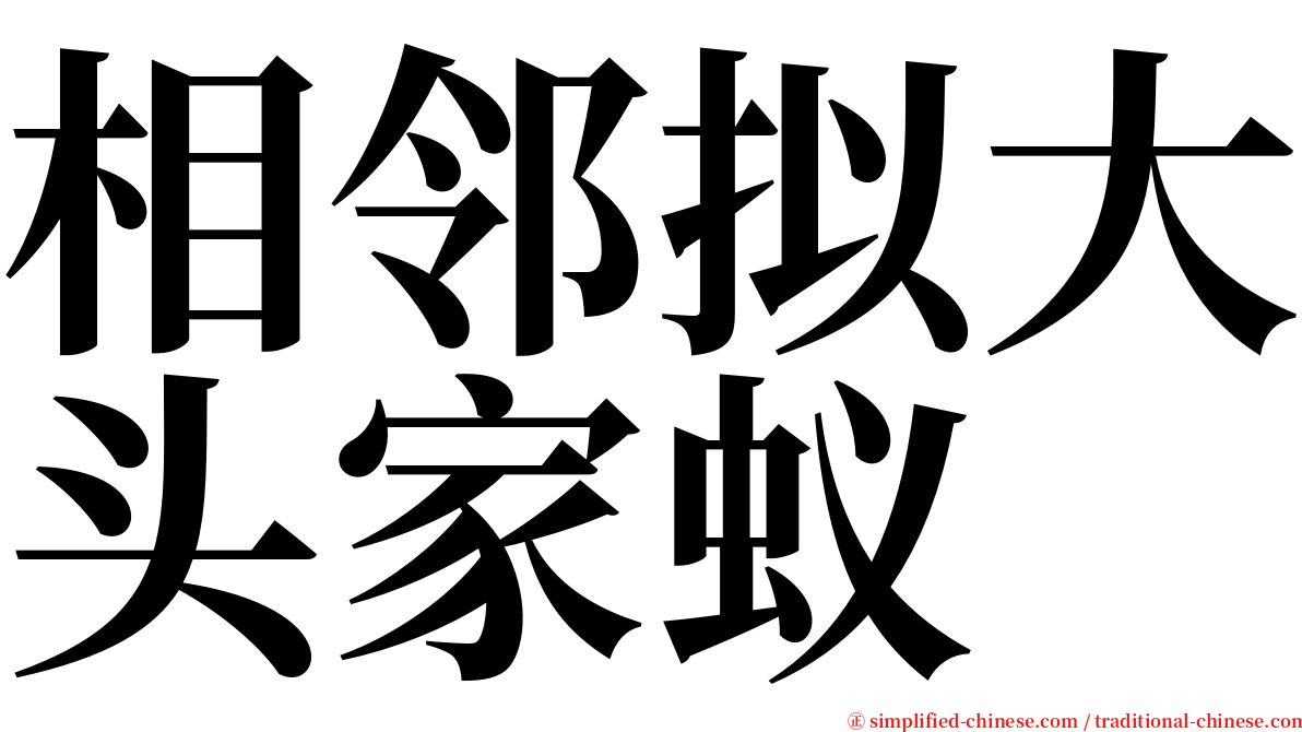 相邻拟大头家蚁 serif font