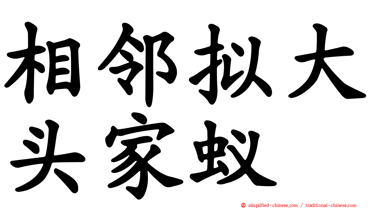 相邻拟大头家蚁