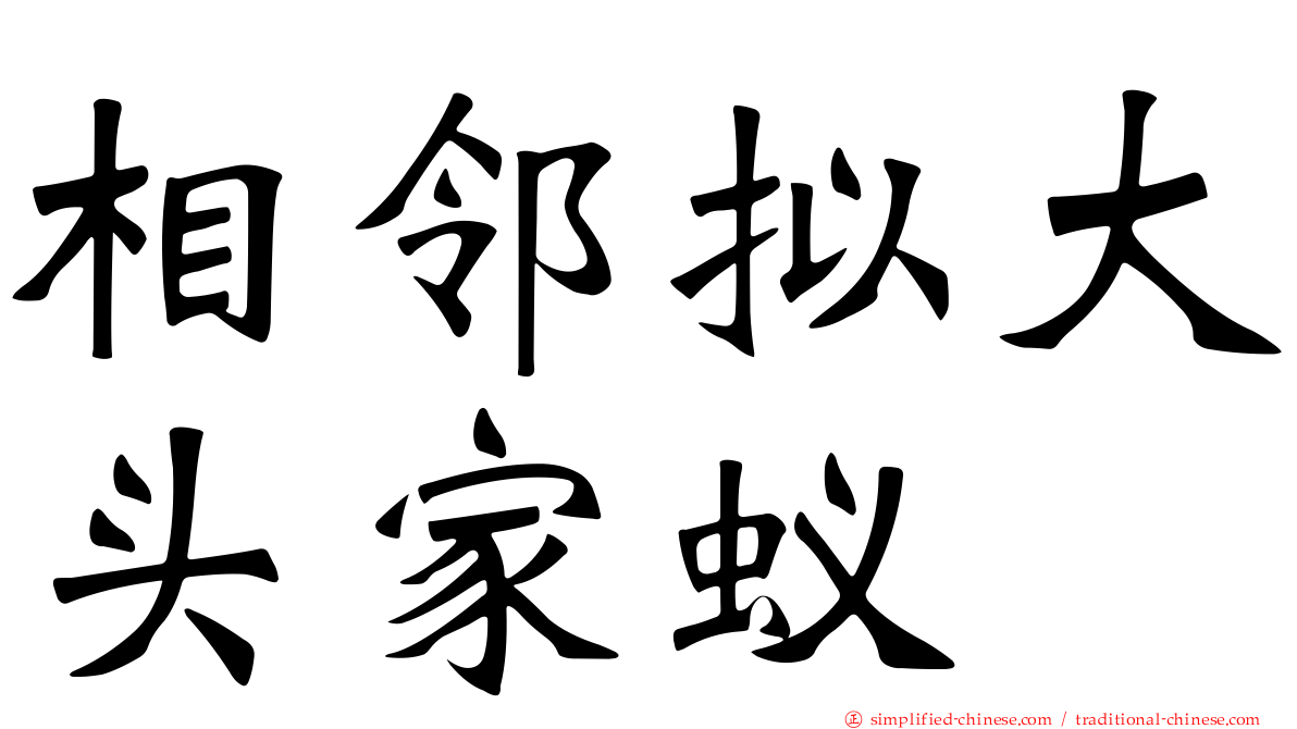 相邻拟大头家蚁