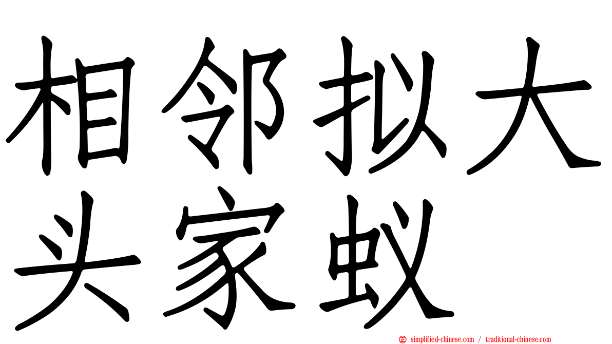 相邻拟大头家蚁