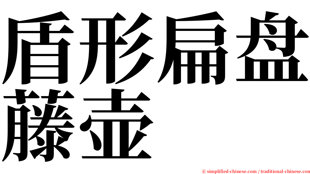 盾形扁盘藤壶 serif font