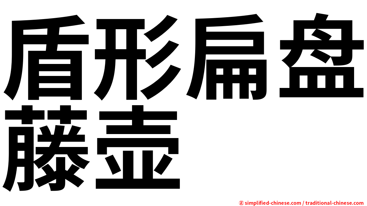 盾形扁盘藤壶