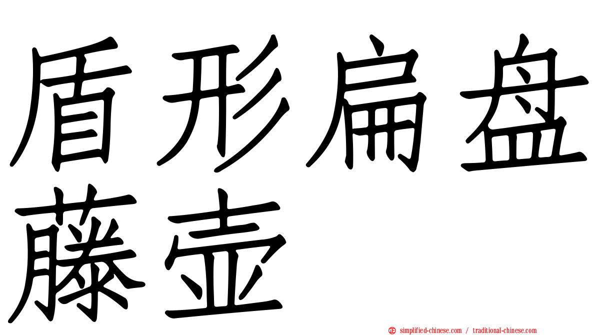 盾形扁盘藤壶