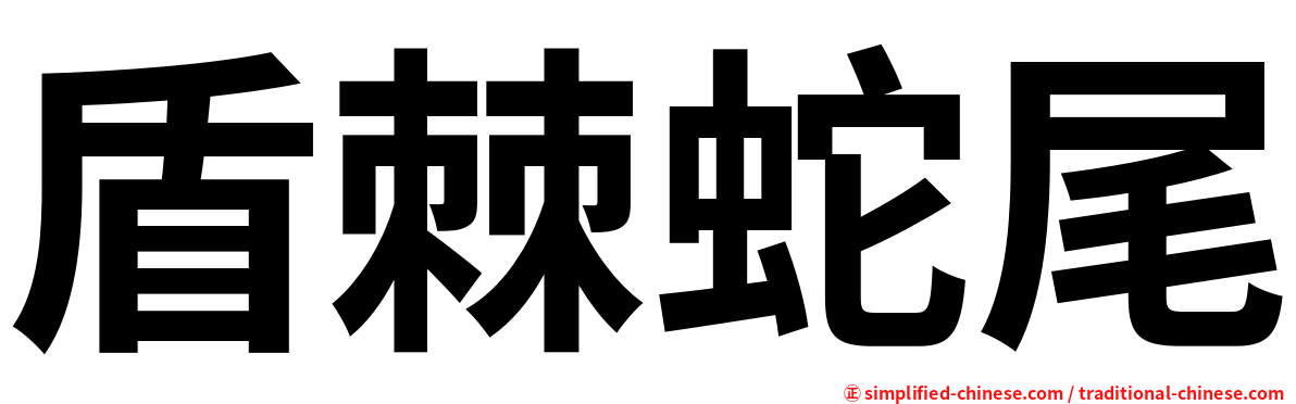 盾棘蛇尾