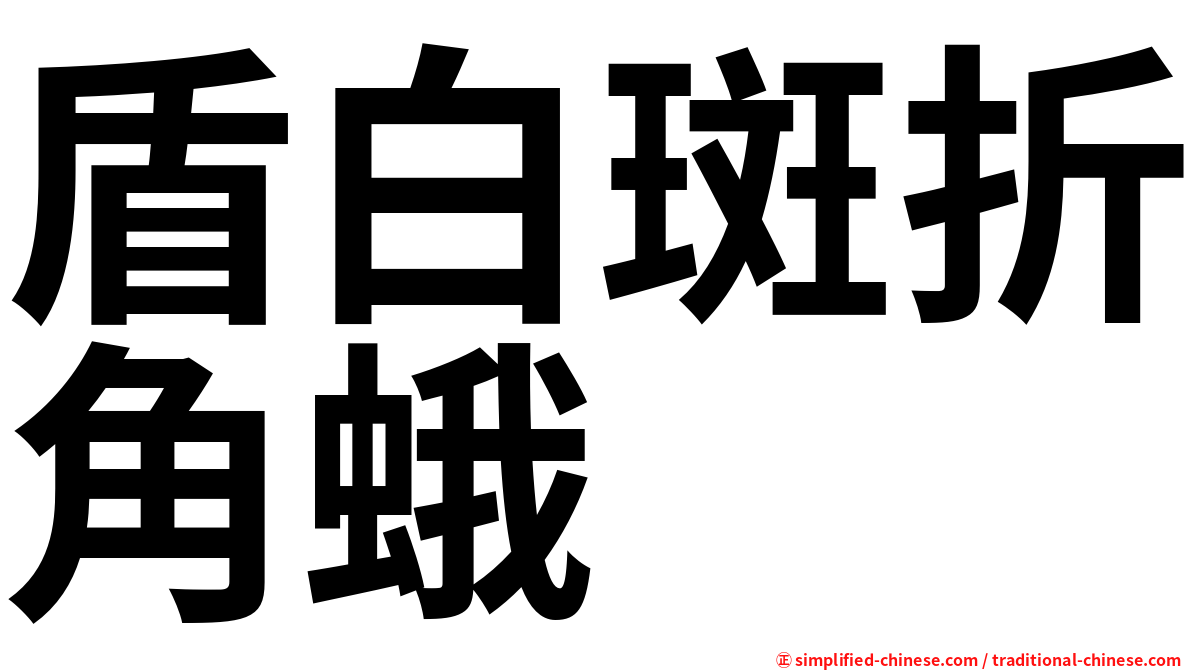 盾白斑折角蛾