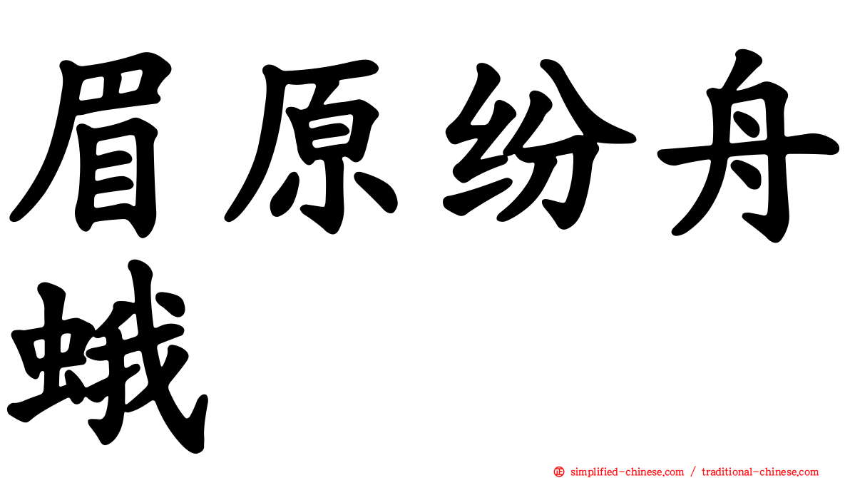 眉原纷舟蛾