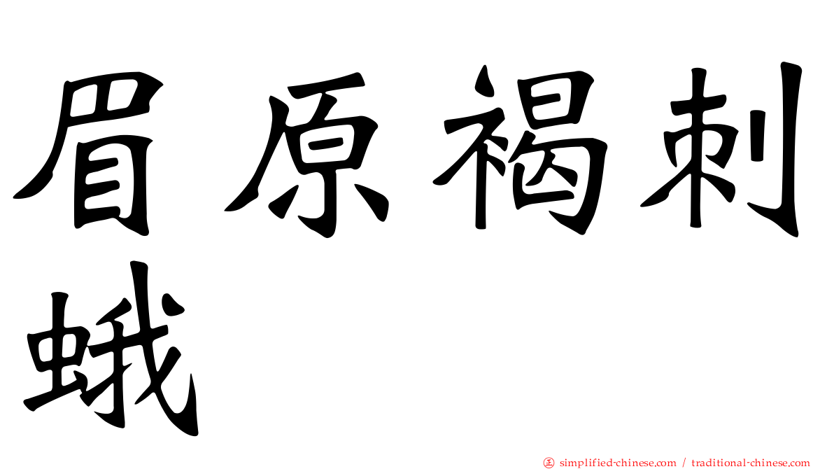 眉原褐刺蛾