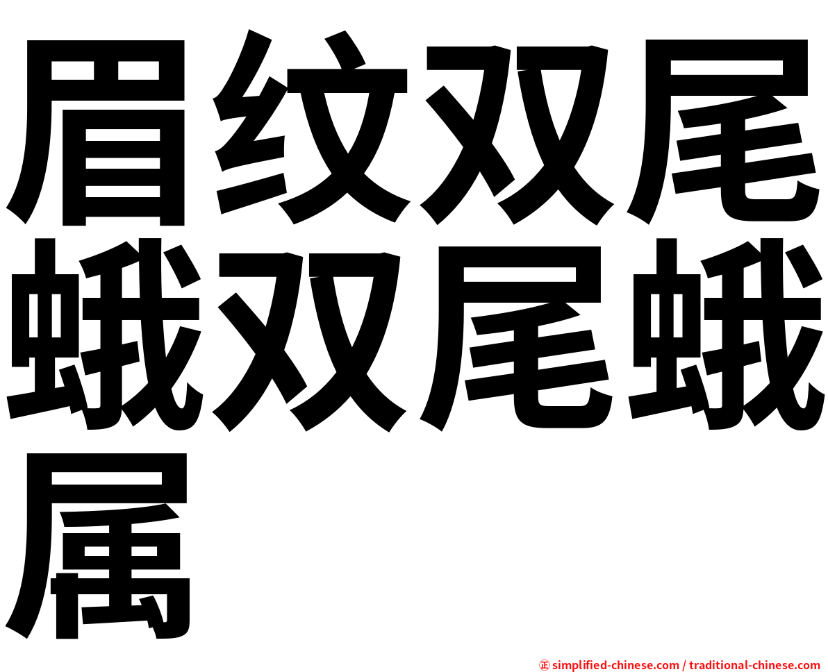 眉纹双尾蛾双尾蛾属