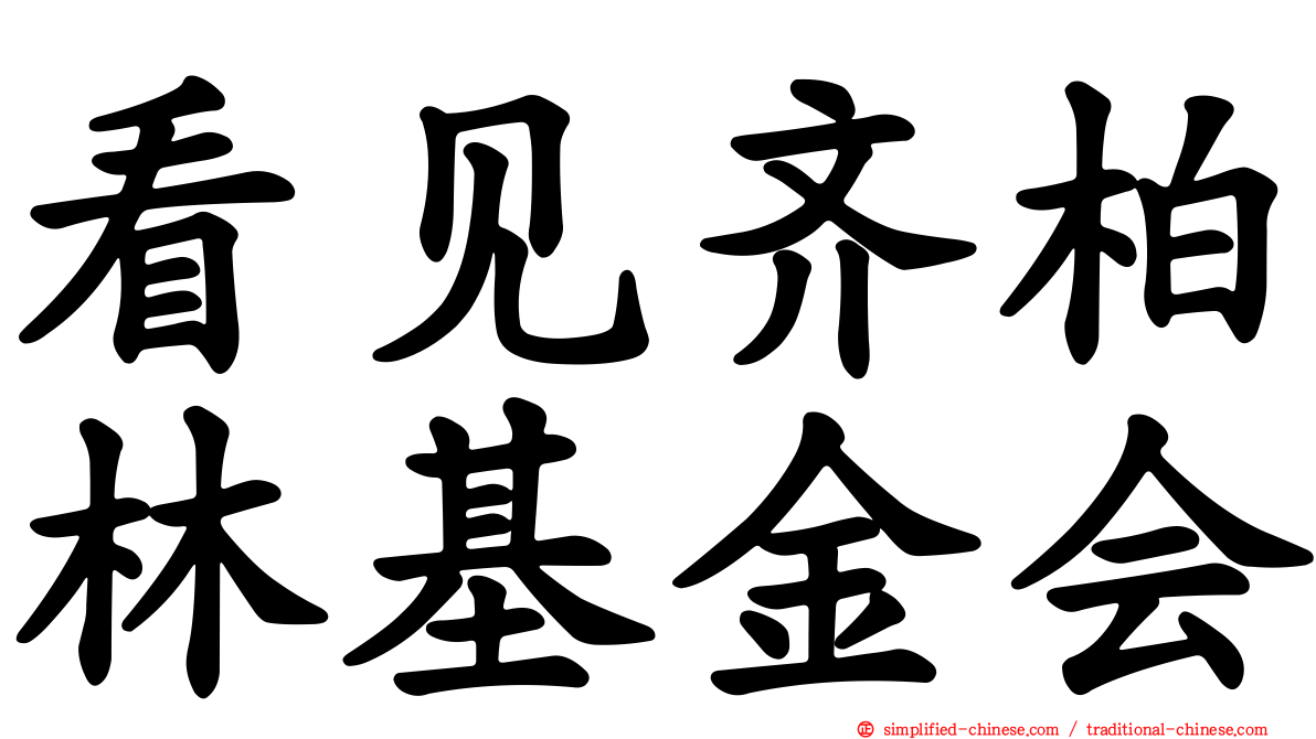 看见齐柏林基金会