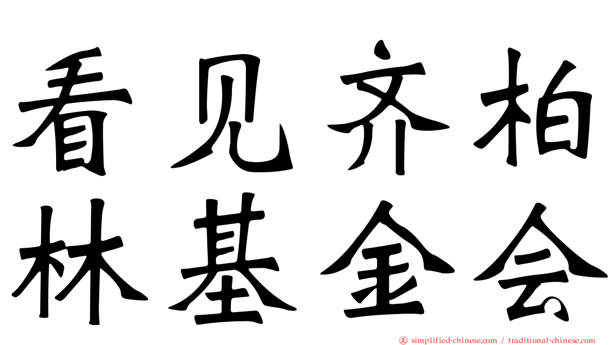 看见齐柏林基金会