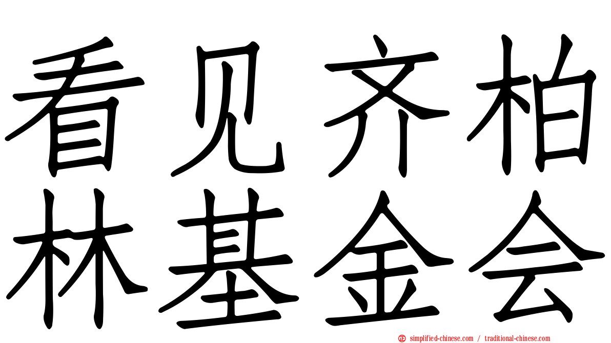 看见齐柏林基金会