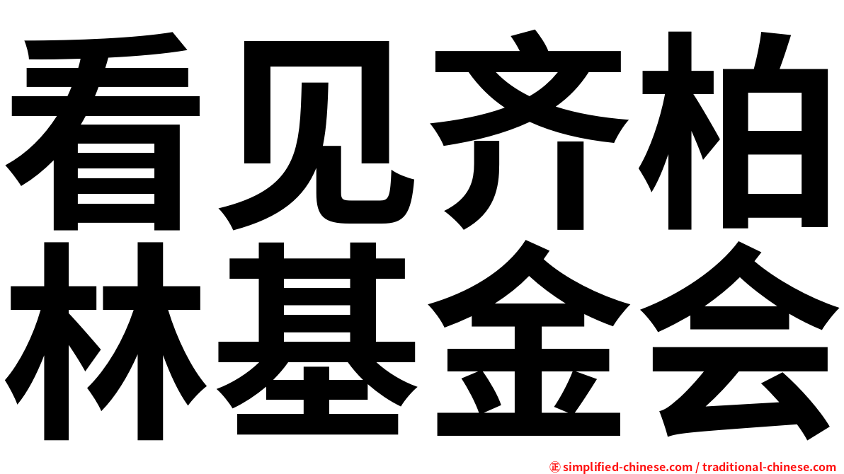 看见齐柏林基金会