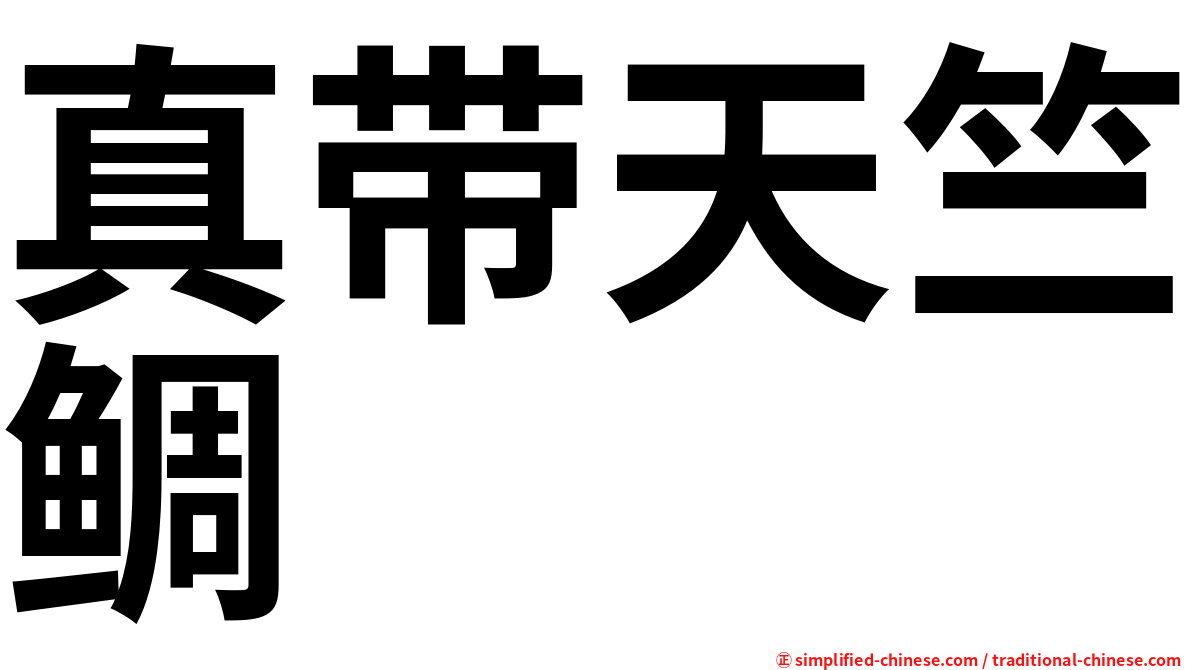 真带天竺鲷