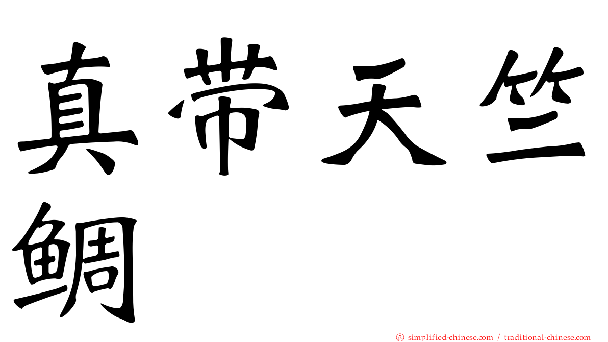 真带天竺鲷