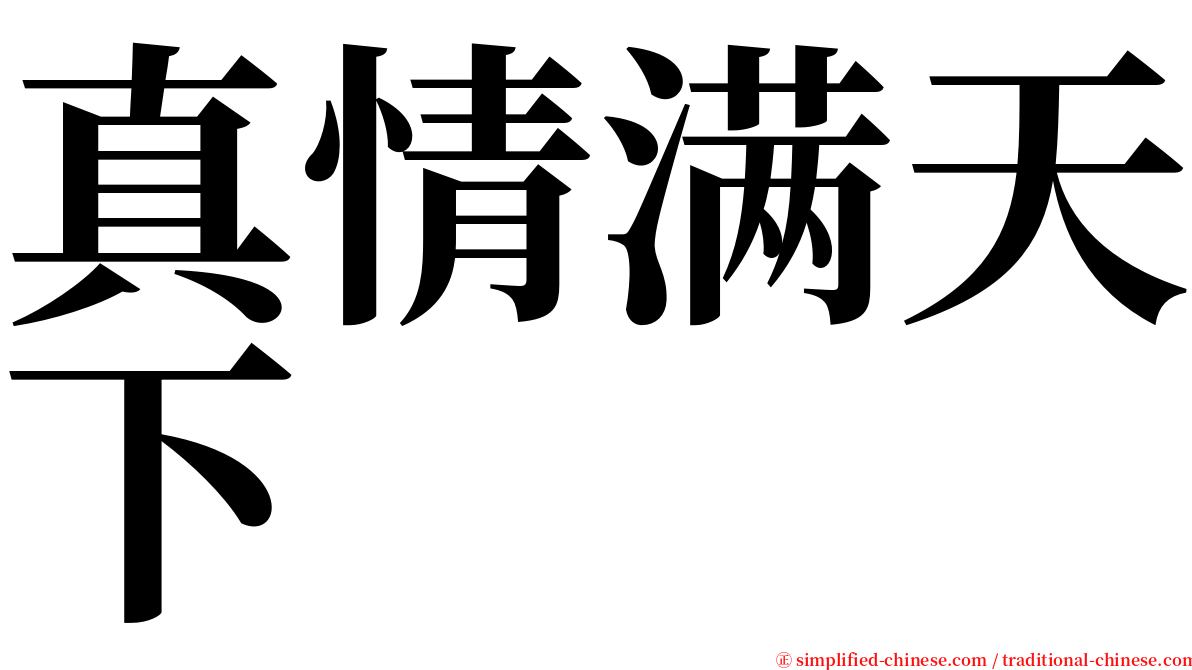 真情满天下 serif font