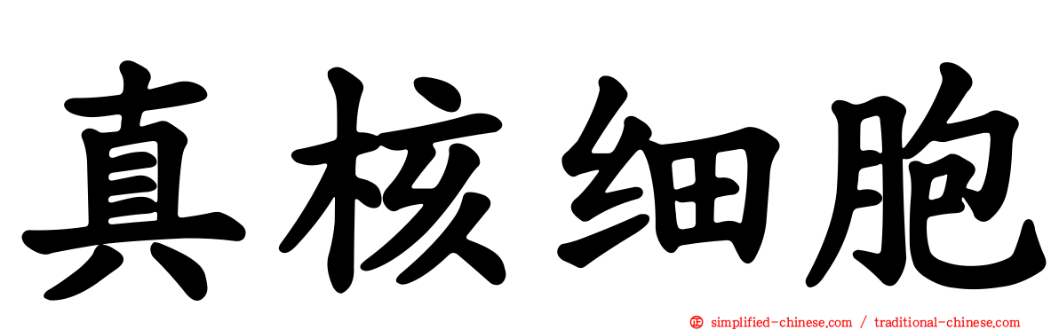 真核细胞
