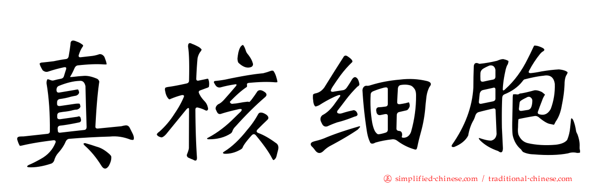 真核细胞