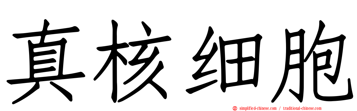真核细胞