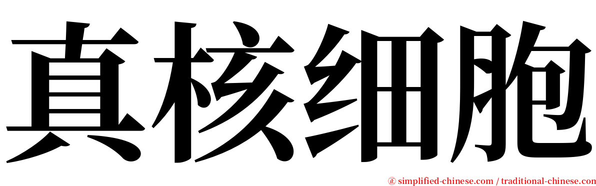 真核细胞 serif font
