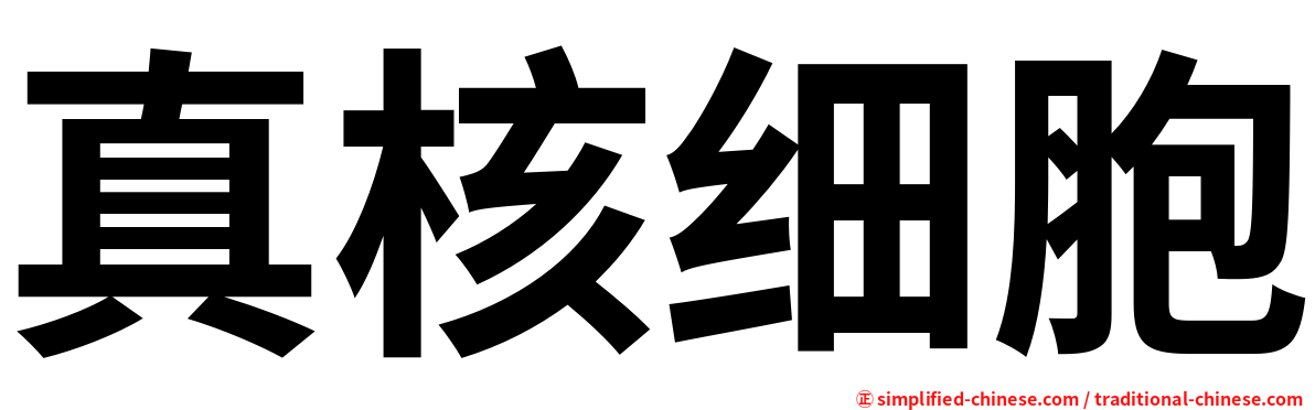 真核细胞