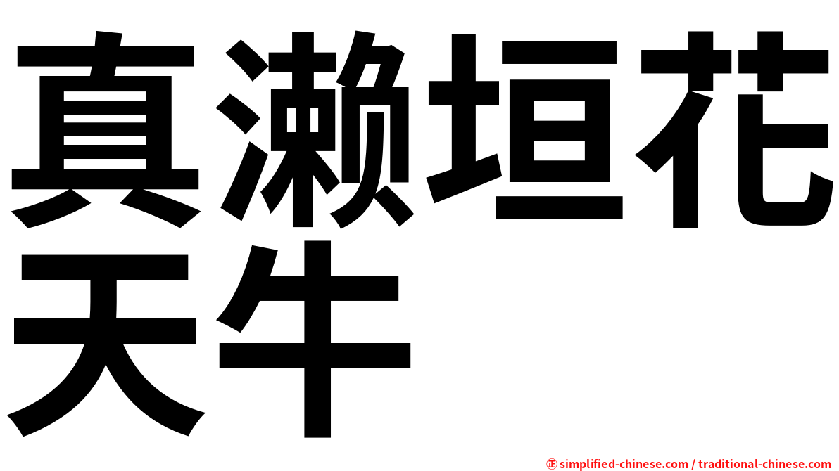 真濑垣花天牛