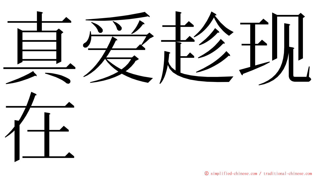 真爱趁现在 ming font