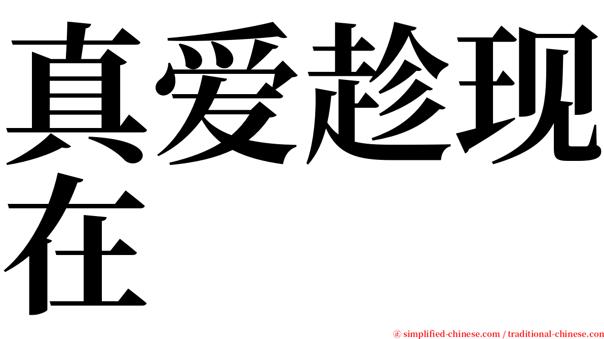 真爱趁现在 serif font