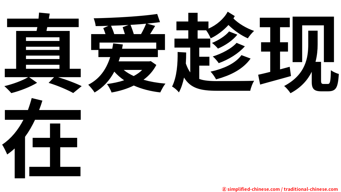 真爱趁现在