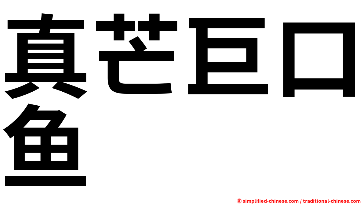 真芒巨口鱼