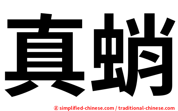 真蛸