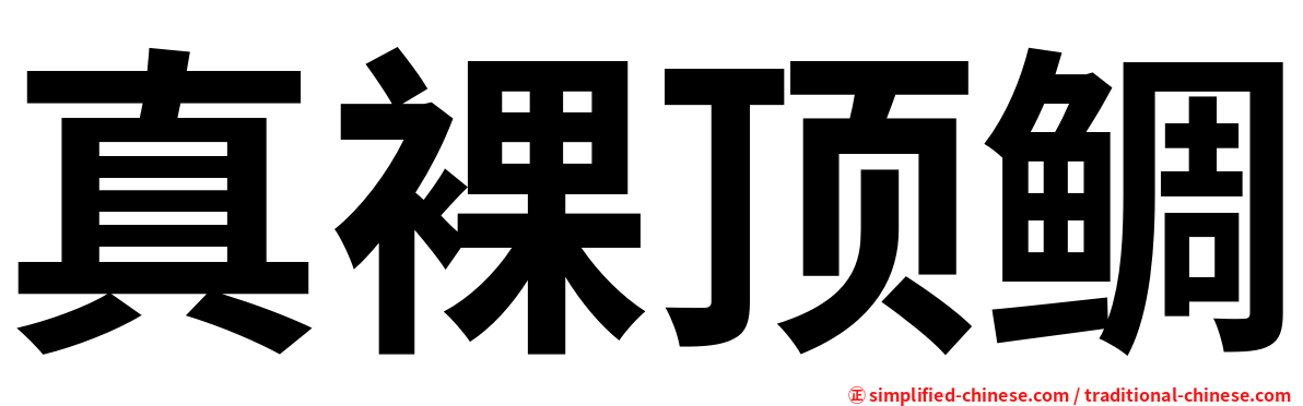 真裸顶鲷