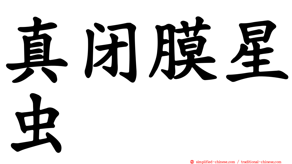真闭膜星虫