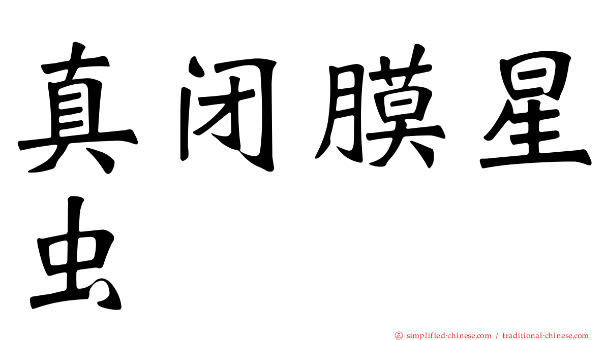真闭膜星虫