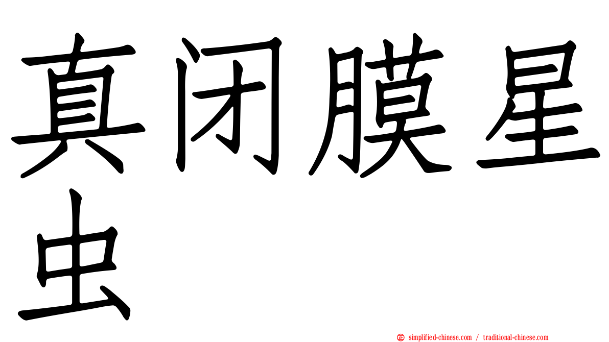 真闭膜星虫