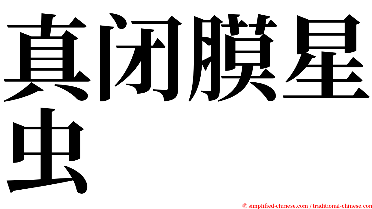 真闭膜星虫 serif font