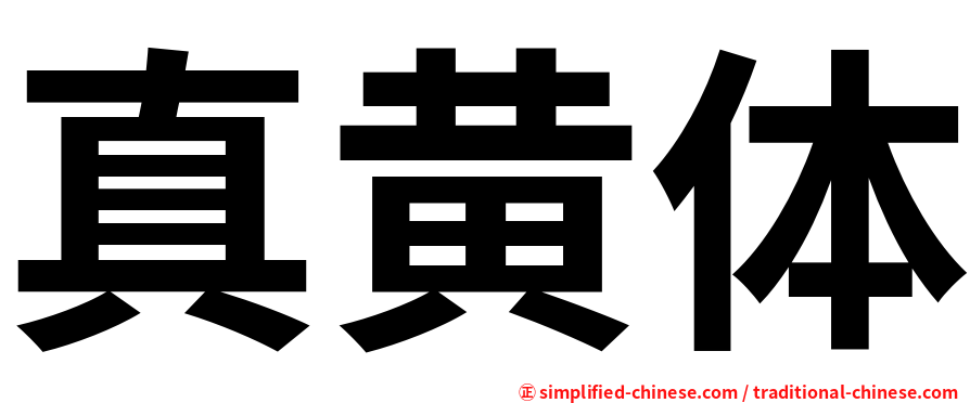 真黄体