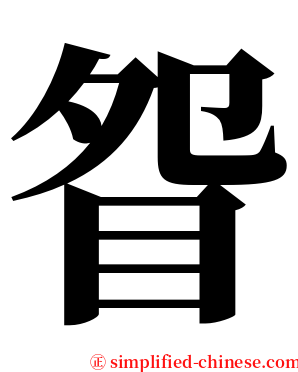 眢 serif font