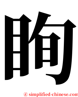 眴 serif font