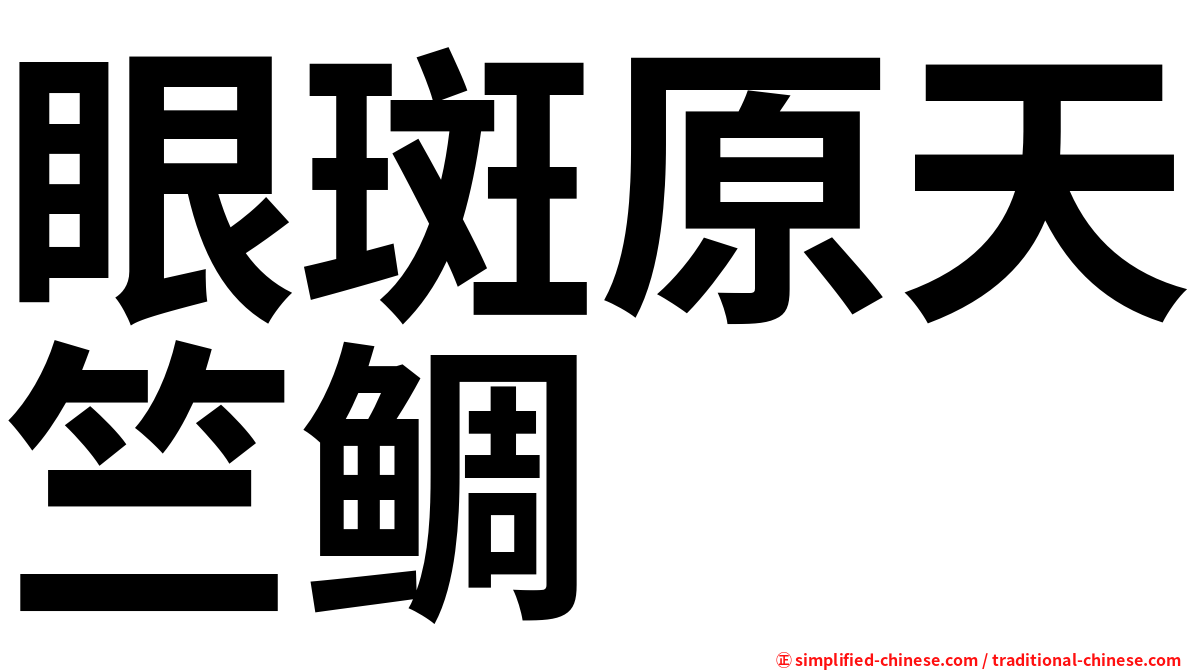 眼斑原天竺鲷