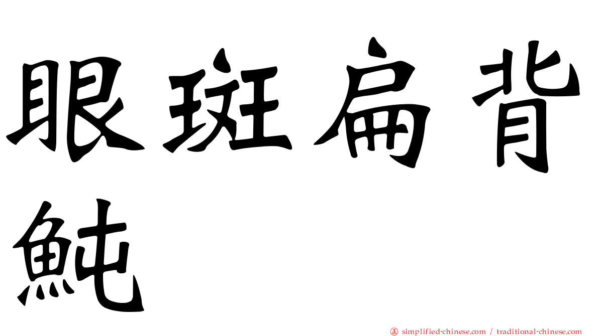 眼斑扁背鲀