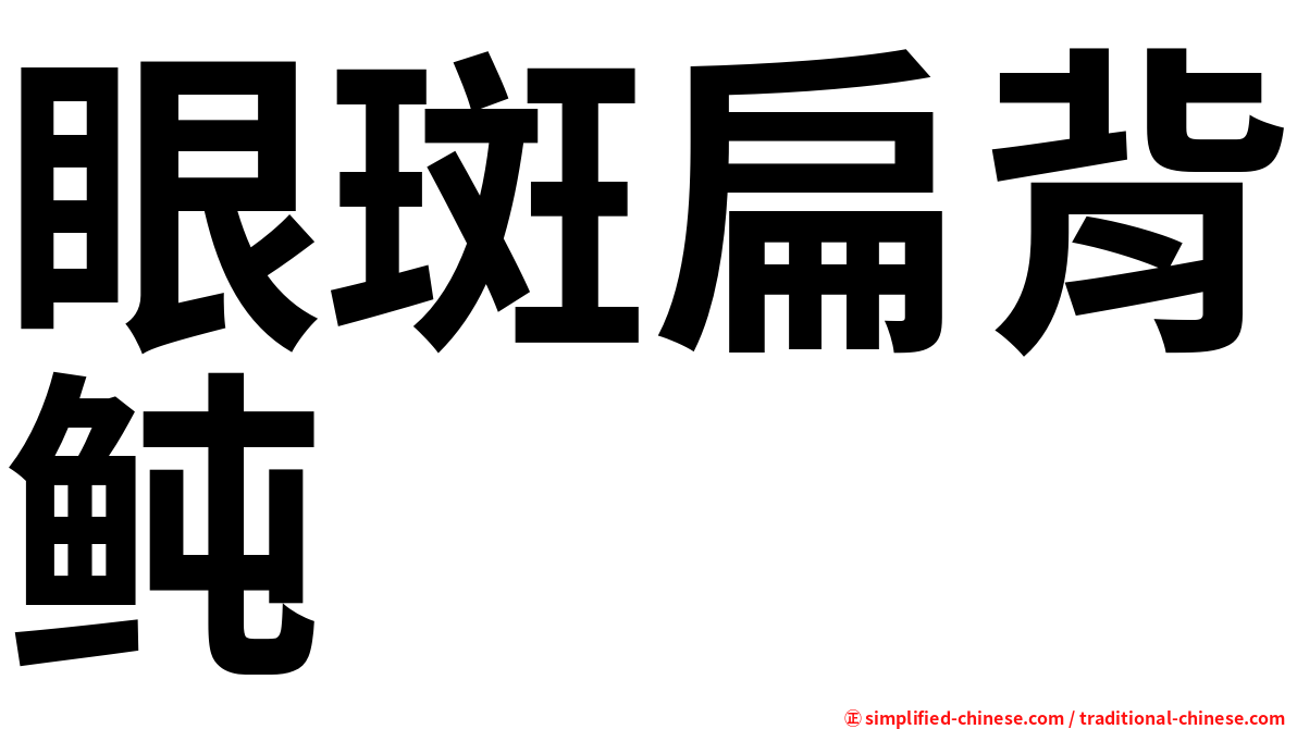 眼斑扁背鲀
