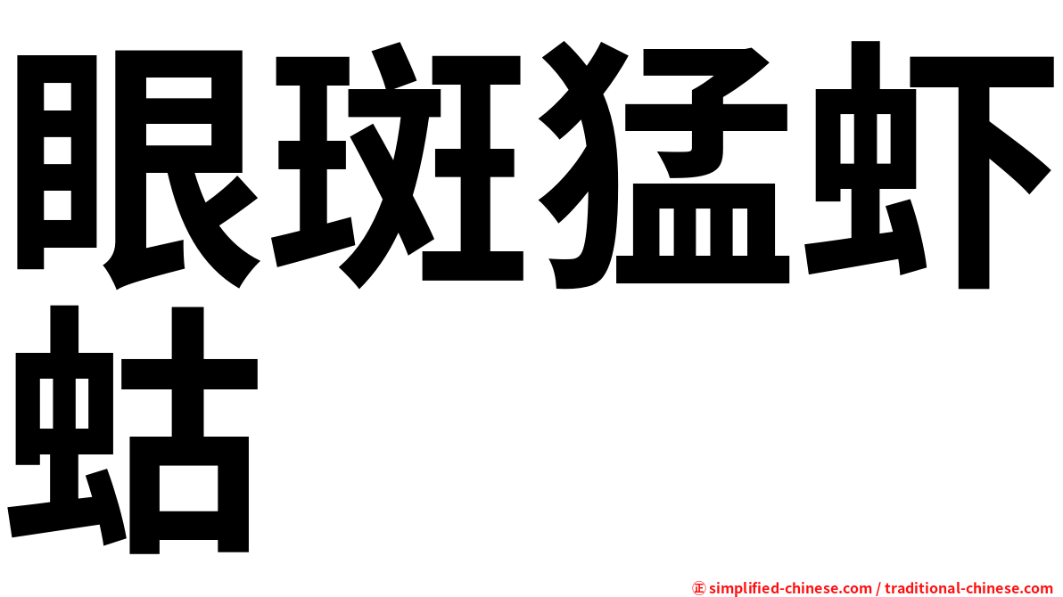 眼斑猛虾蛄