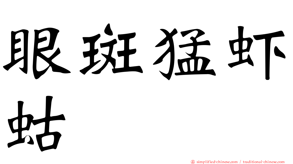 眼斑猛虾蛄