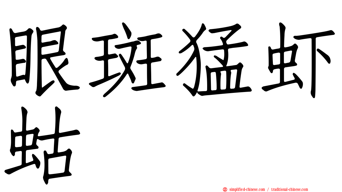 眼斑猛虾蛄