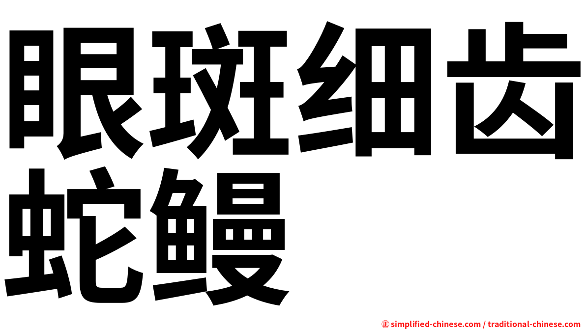 眼斑细齿蛇鳗