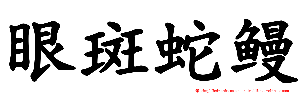 眼斑蛇鳗