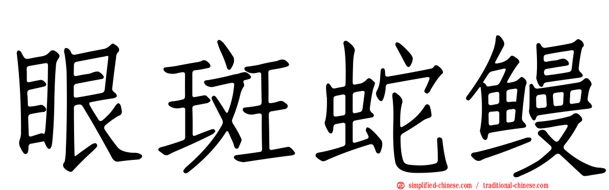 眼斑蛇鳗